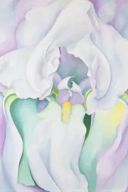 SEILE - LIRIO BLANCO YARNITY